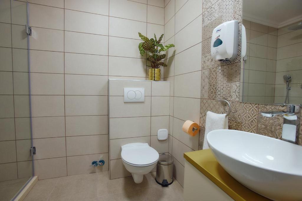 Hotel Imperium Botiz Экстерьер фото